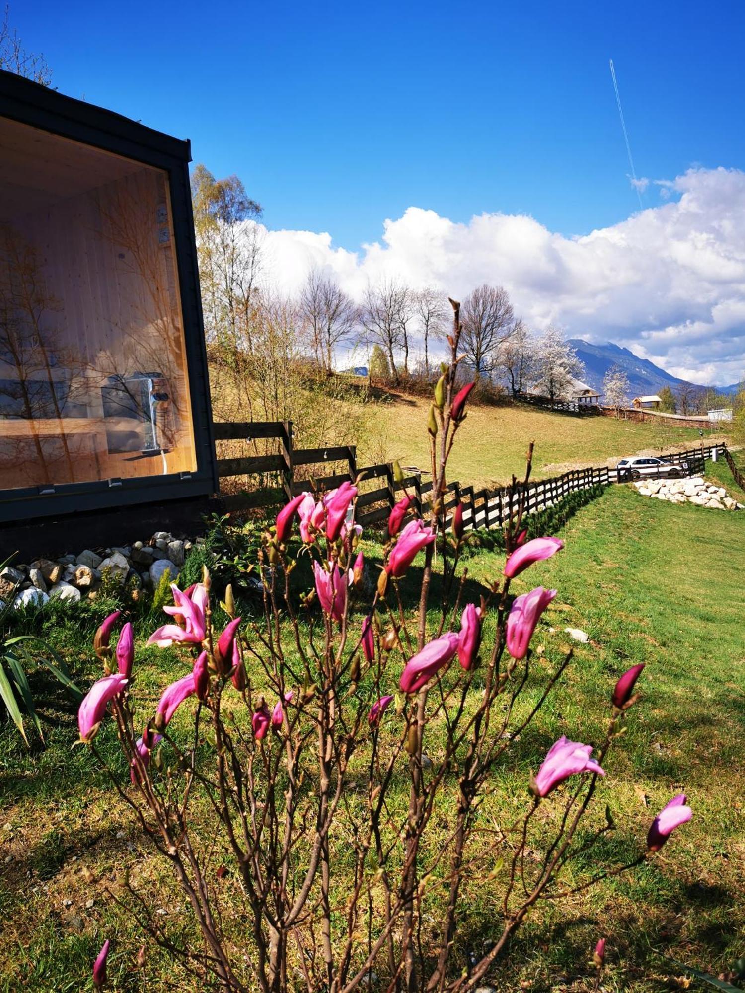 Doza De Verde Retreat&Spa Bran-Adults Only Sohodol  Екстер'єр фото